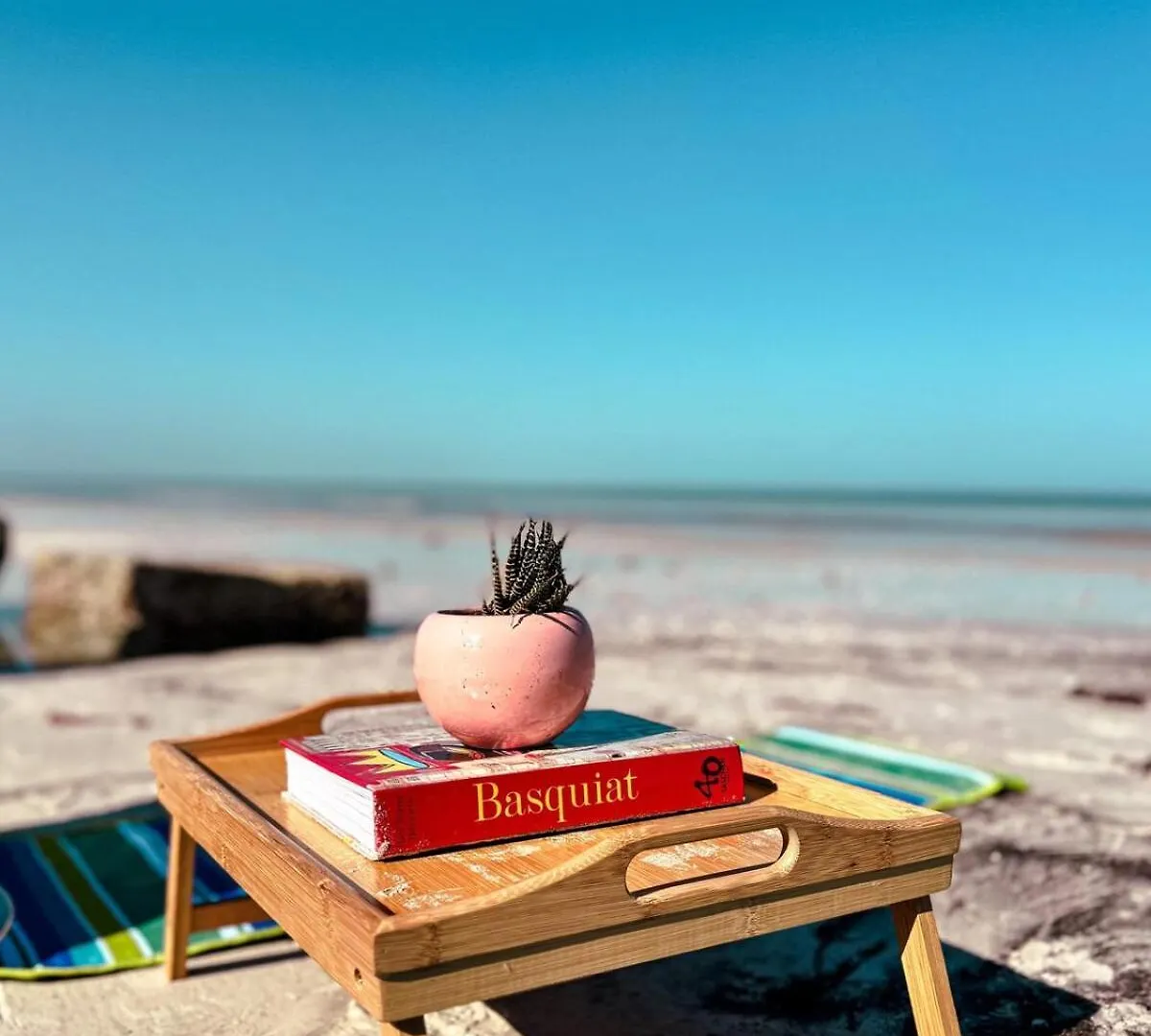 Appartamento Breathtaking Ocean Vista Penthouse With Private Pool Isola Holbox
