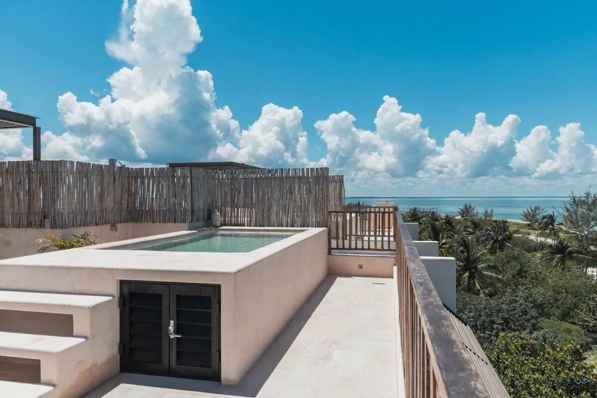Breathtaking Ocean Vista Penthouse With Private Pool Apartment Isla Holbox