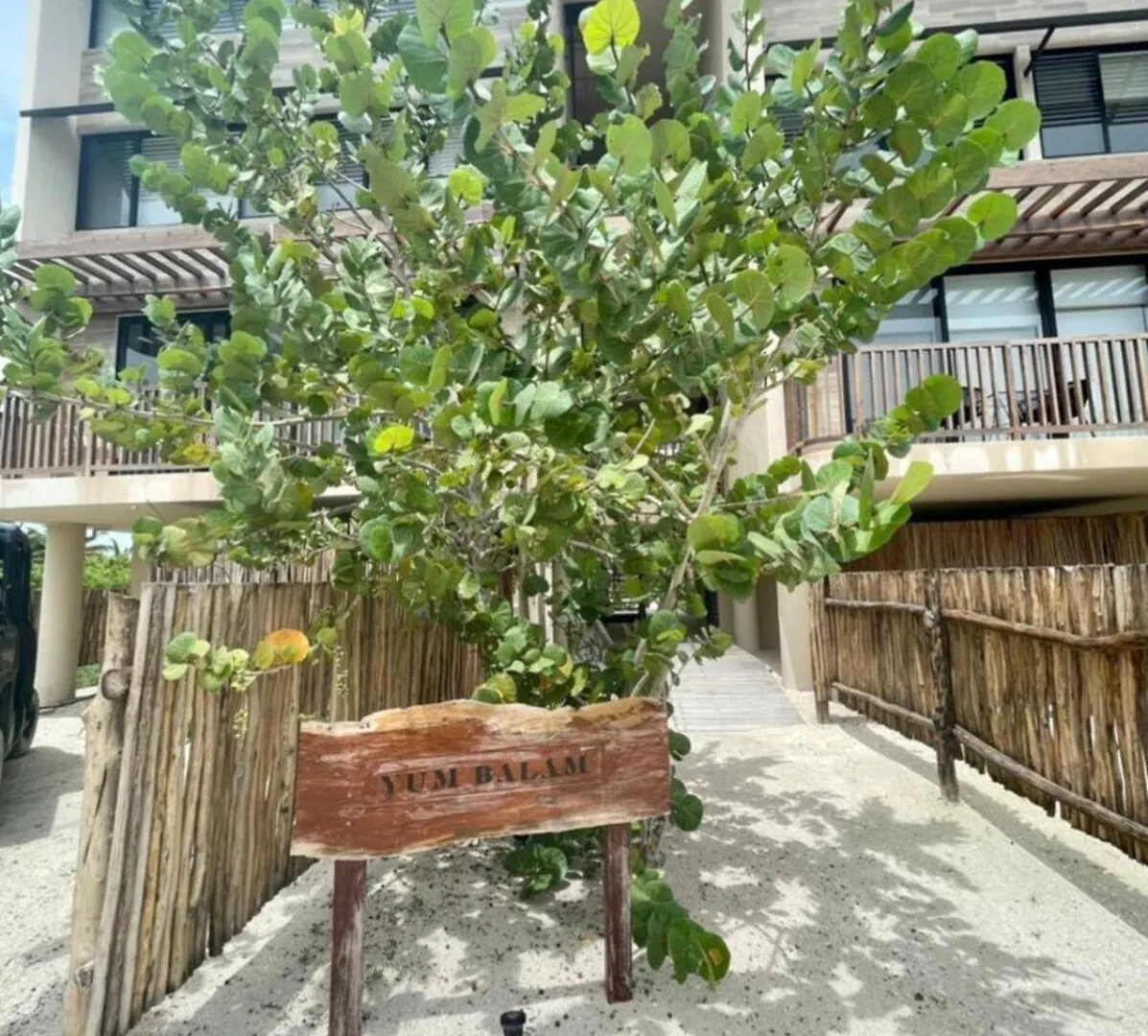 Breathtaking Ocean Vista Penthouse With Private Pool Apartment Isla Holbox